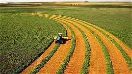 بخش کشاورزی مهمترین پیشران توسعه اقتصادی استان به شمار می رود